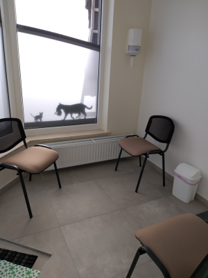 Rez-de-Chaussée commercial à Montzen