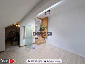 Maison 3 façades et appartement à Herbesthal