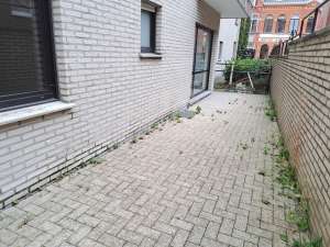 Appartement rez-de-chaussée à Welkenraedt