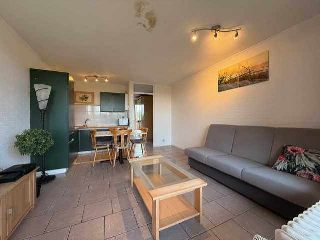 L'appartement est situé dans une résidence vacance au 3ème étage et est composé comme suit : Living, cuisine semi-équipée, 1 chambre, salle de douche avec WC

Divers : balcon et jardin commun, électricité conforme.

Seconde résidence uniquement !